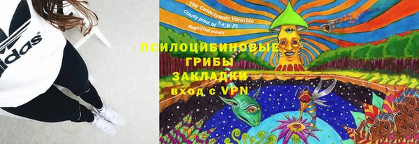 шишки Красноперекопск