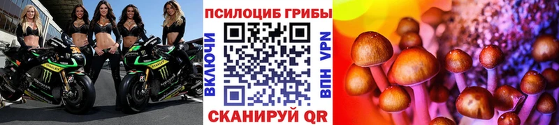 Псилоцибиновые грибы GOLDEN TEACHER  Купить где  Билибино 